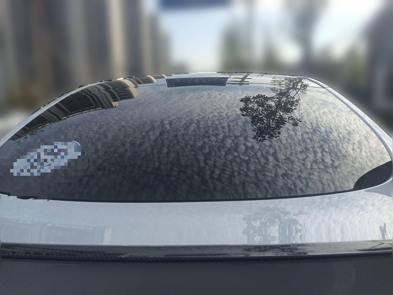 Model Y 2023 Long Range AWD photo 5