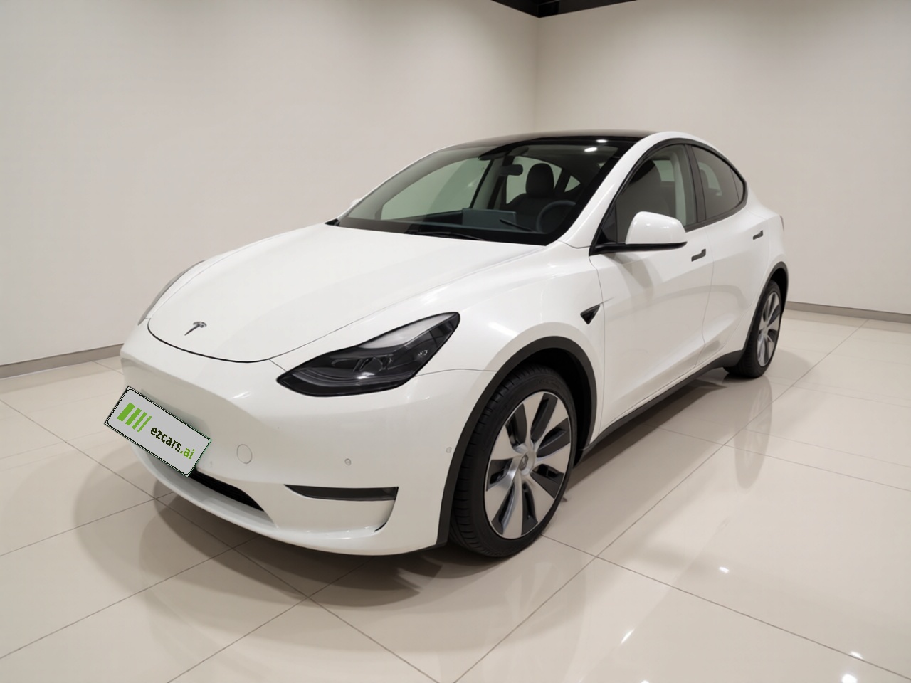 Model Y 2021 Standard Range RWD