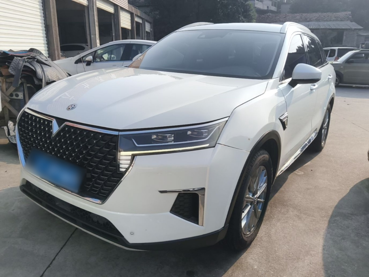 2020 260T AT 48V Mild Hybrid