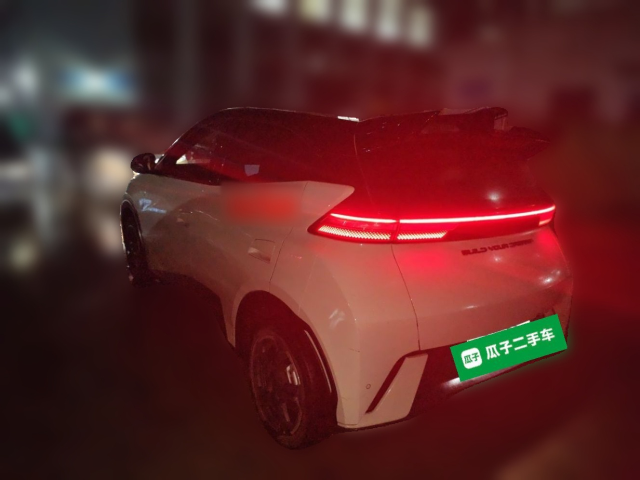 Seagull 2024 Honor 405km photo 4