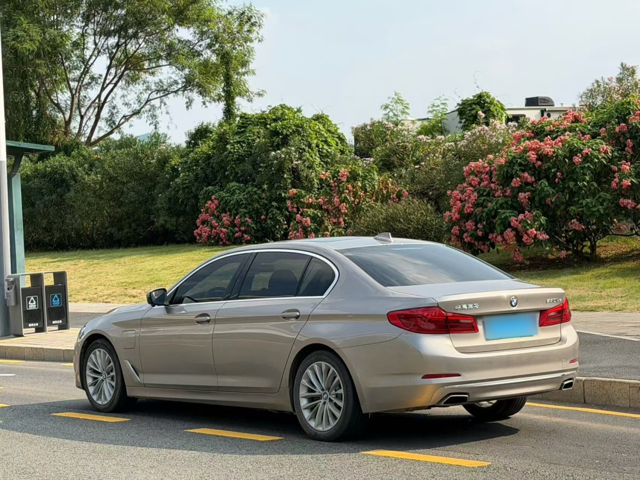 5 Series EV 2020 530Le Luxury photo 4