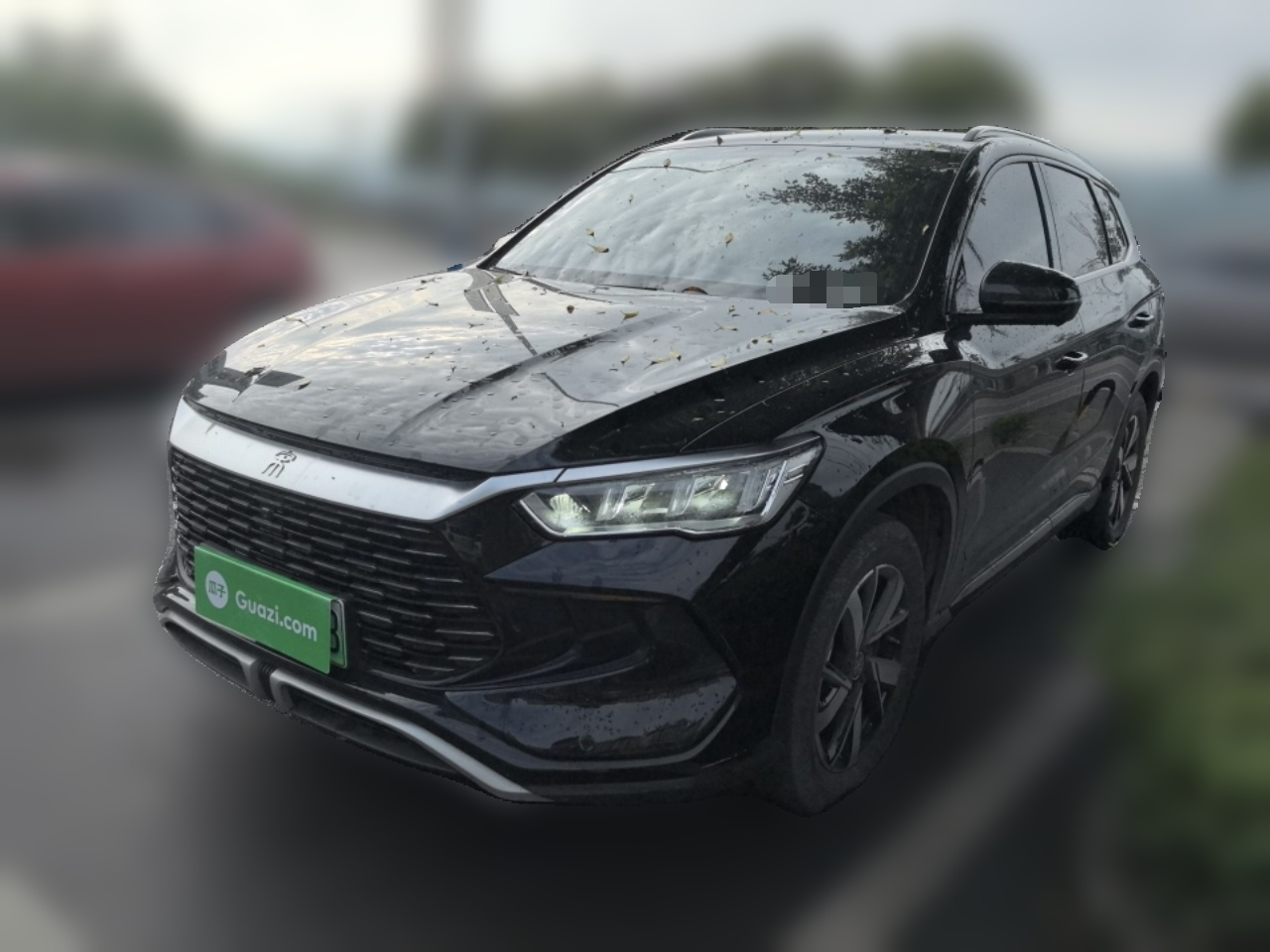 Song Pro EV 2024 Honor DM-i 71KM Pilot