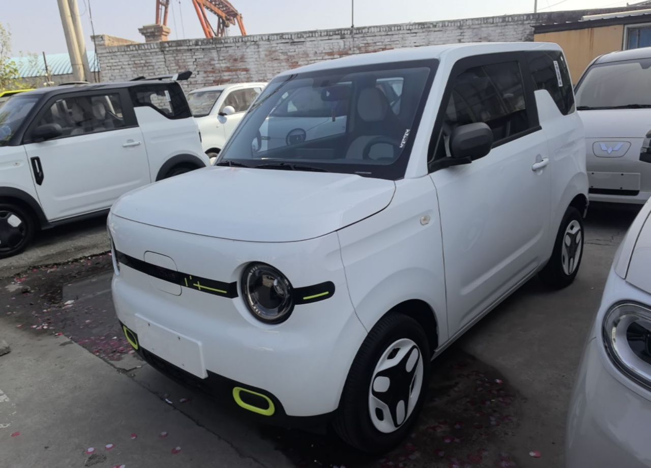 2025 Panda mini 210km Yuan