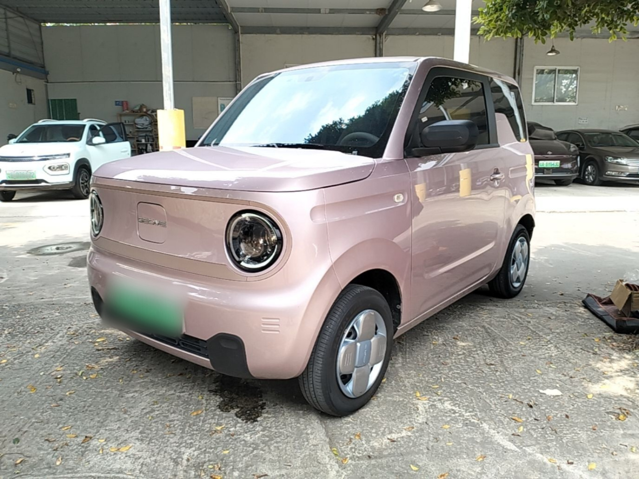 2023 Panda mini 200km Endurance Bear