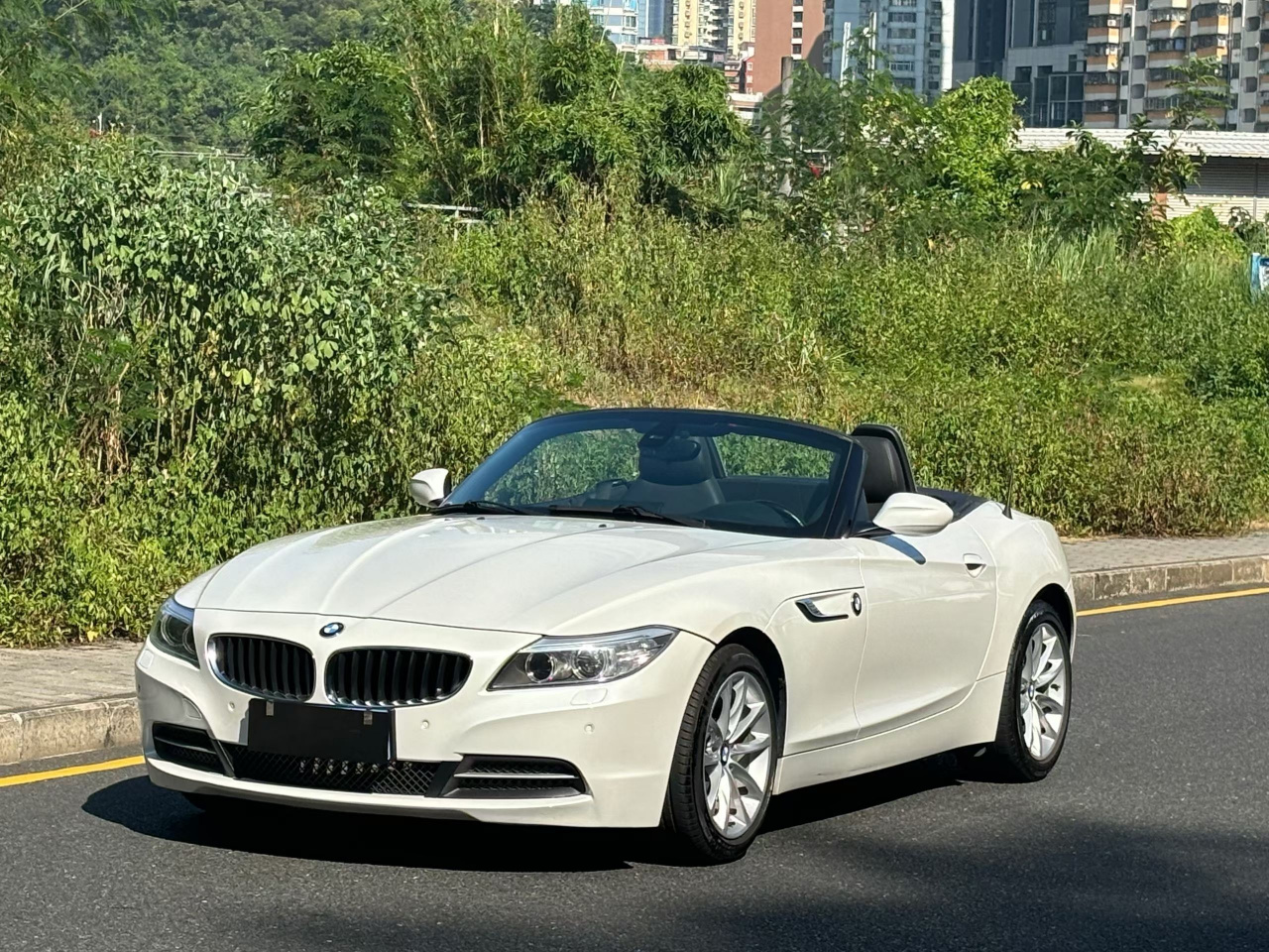 Z4 2013 sDrive20i Leading