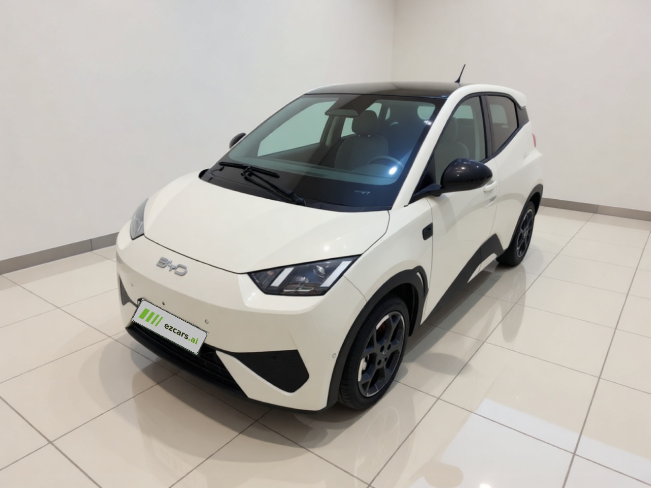 Seagull 2025 ADAS 305km