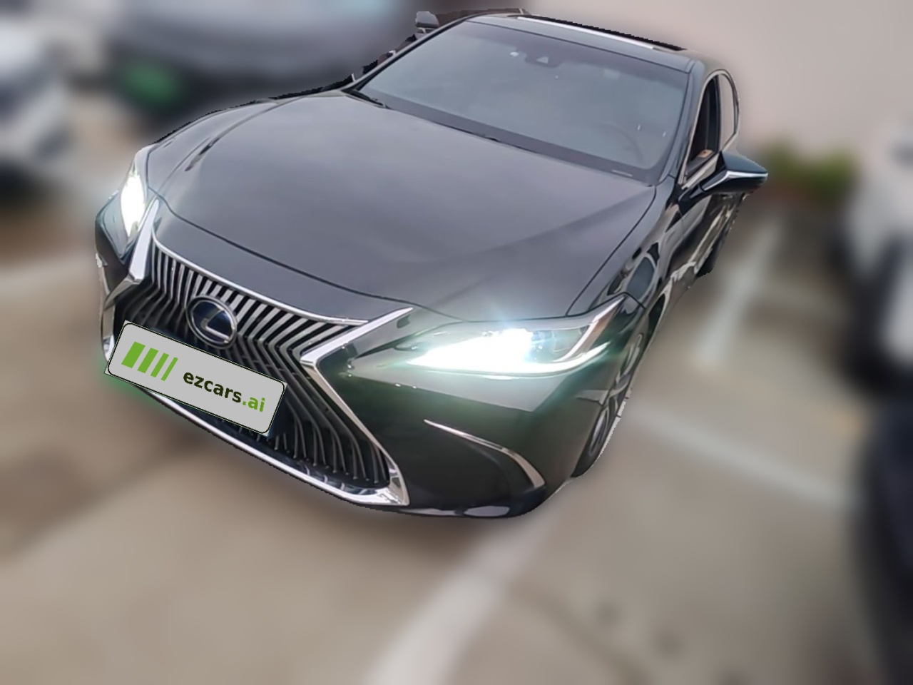 ES 2018 300h Excellence China V