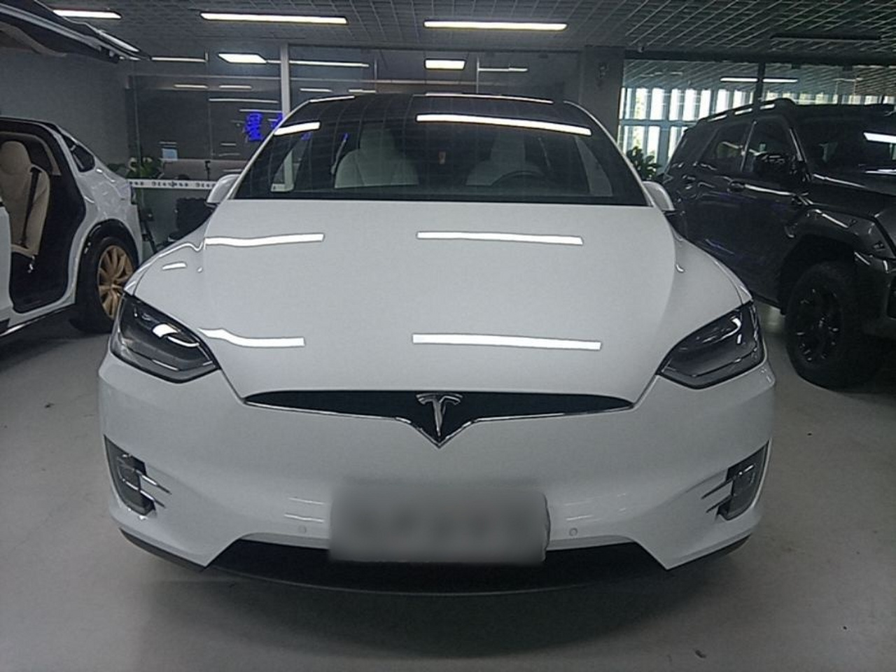Model X 2019 Performance Performance photo 2