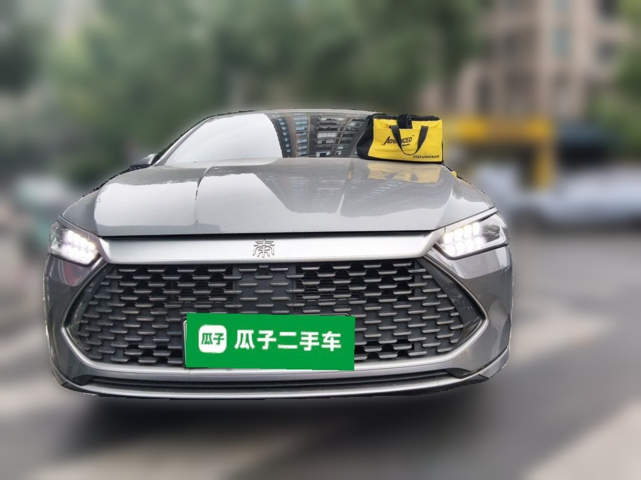 Qin PLUS 2024 Honor DM-i 55KM Leading photo 2