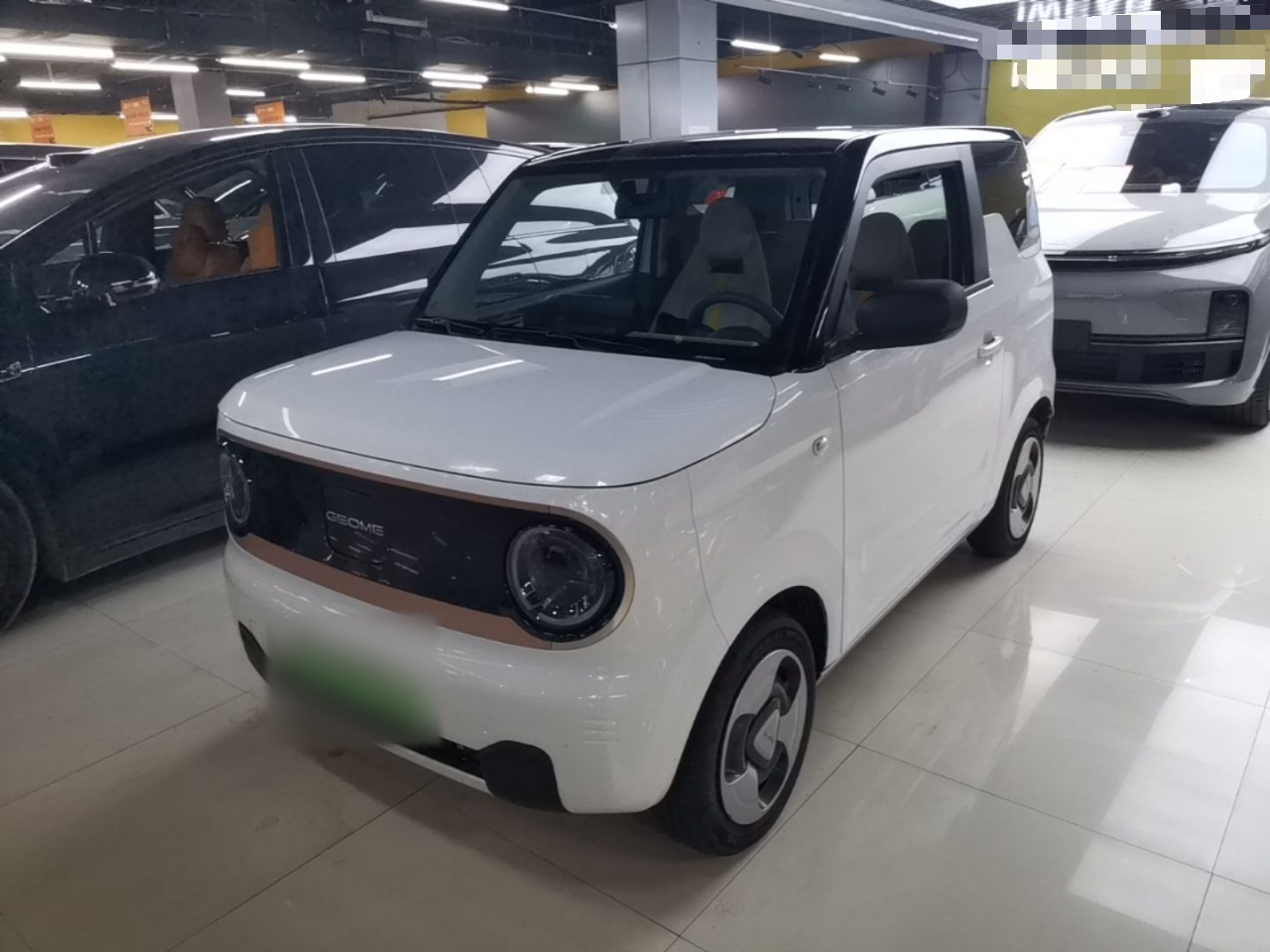 2023 Panda mini