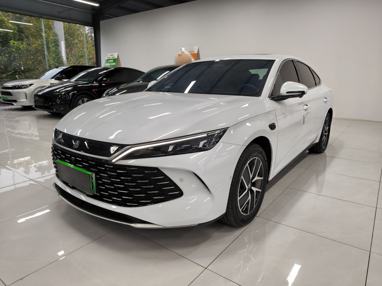 Qin L 2025 DM-i ADAS 120KM Leading