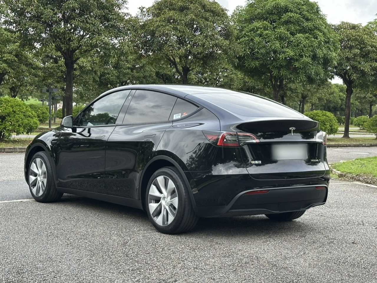 Model Y 2022 Facelift RWD photo 4