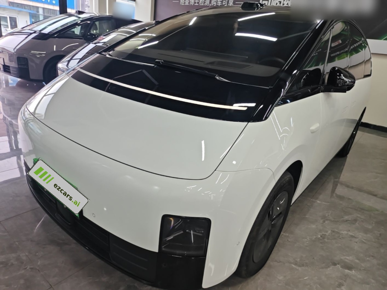 Li MEGA 2025 Home Family Special