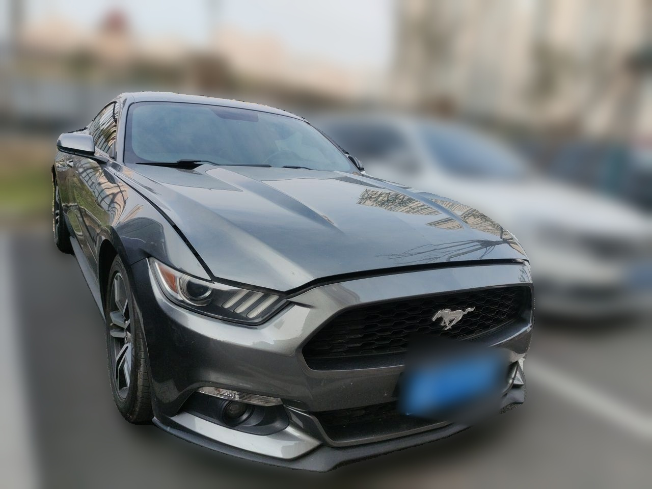 Mustang 2017 2.3T Performance photo 3