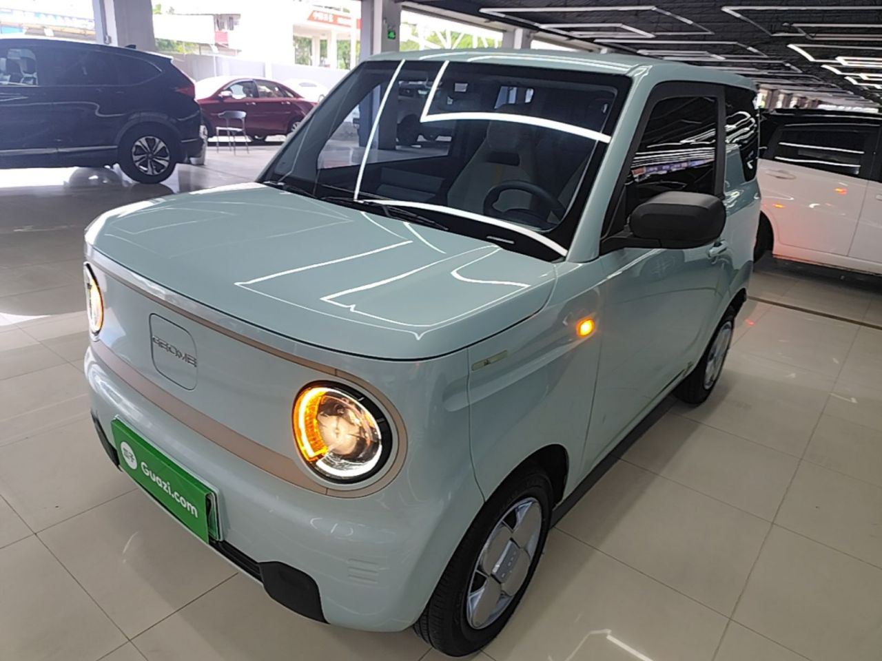 2023 Panda mini 200km Endurance Bear