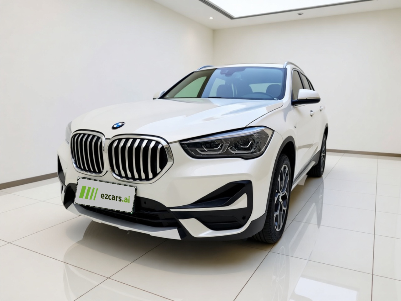 X1 2020 sDrive20Li Exclusive