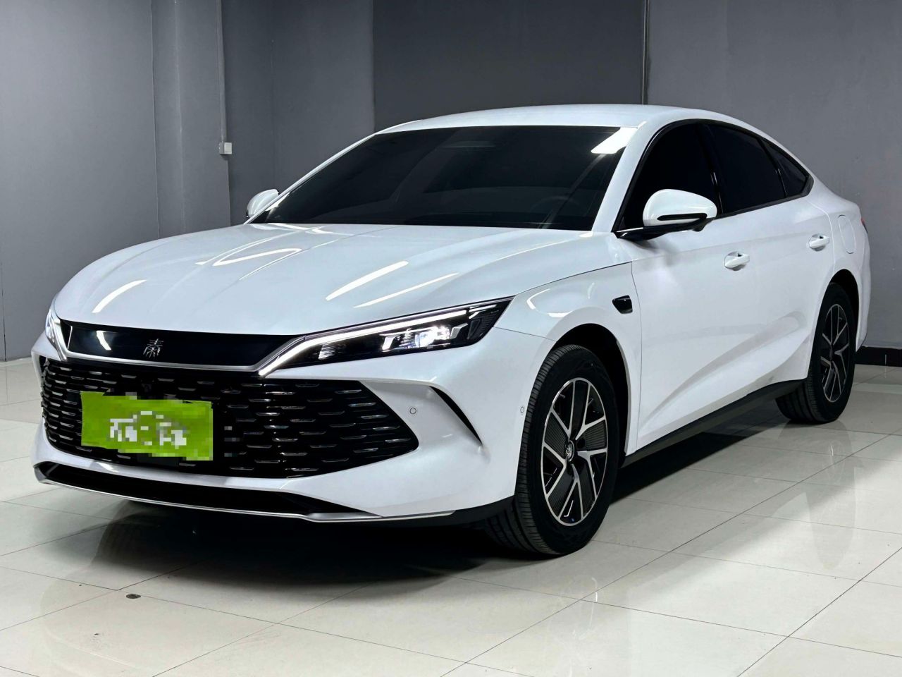 Qin L 2026 DM-i 128KM Leading