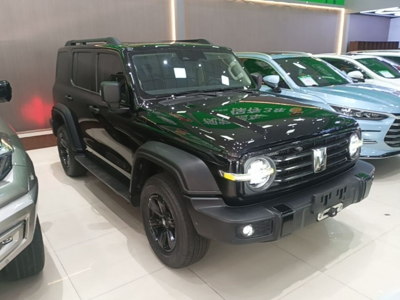 300 2021 Off-road 2.0T Conqueror photo 3