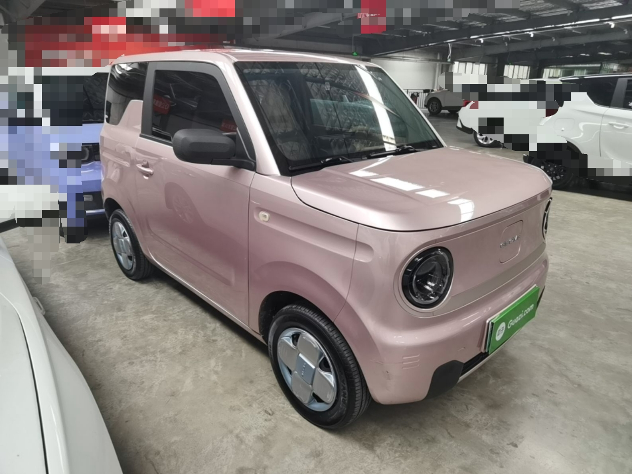 2023 Panda mini 200km Endurance Bear photo 3
