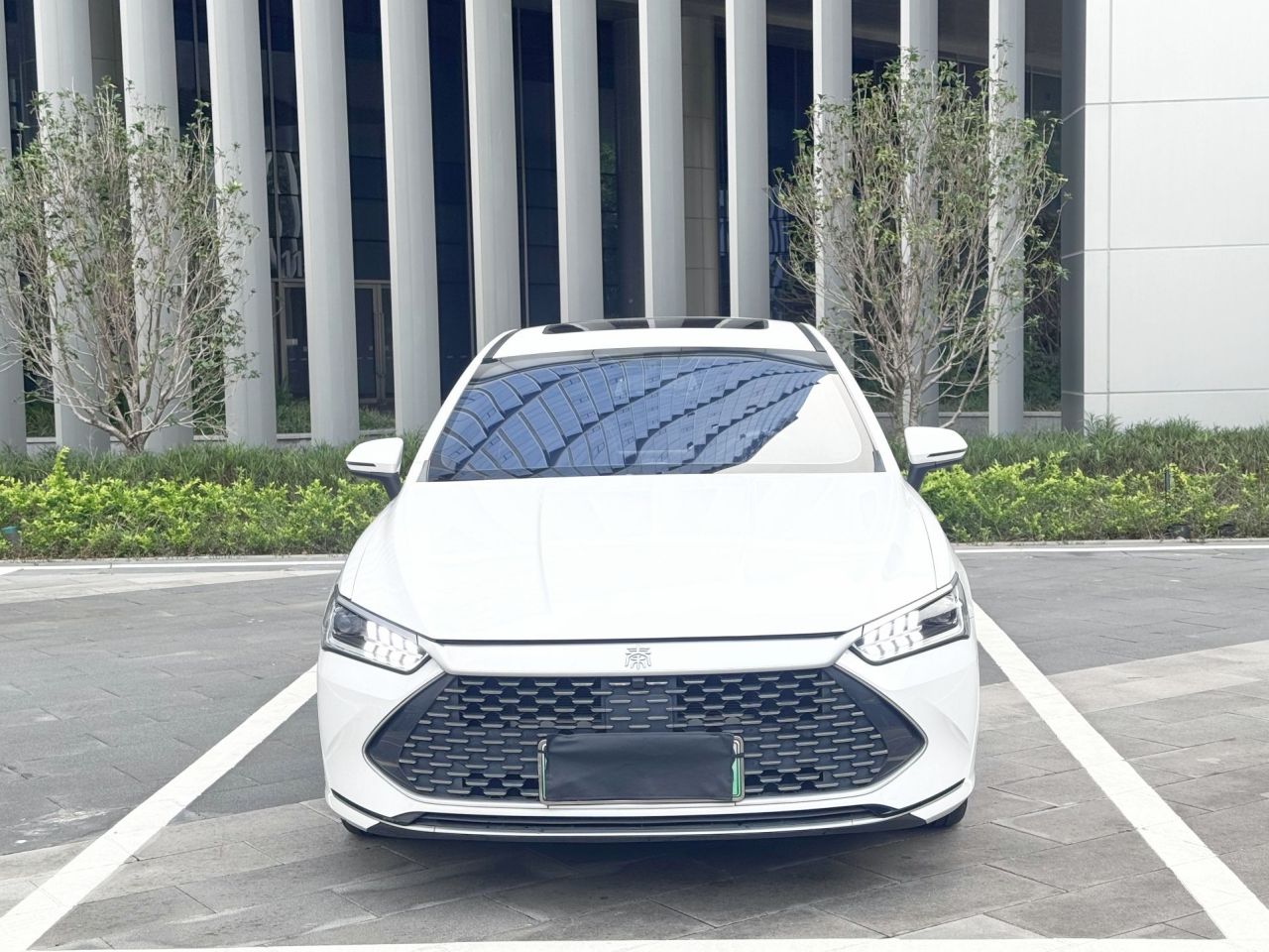 Qin PLUS 2021 DM-i 55KM Flagship photo 2