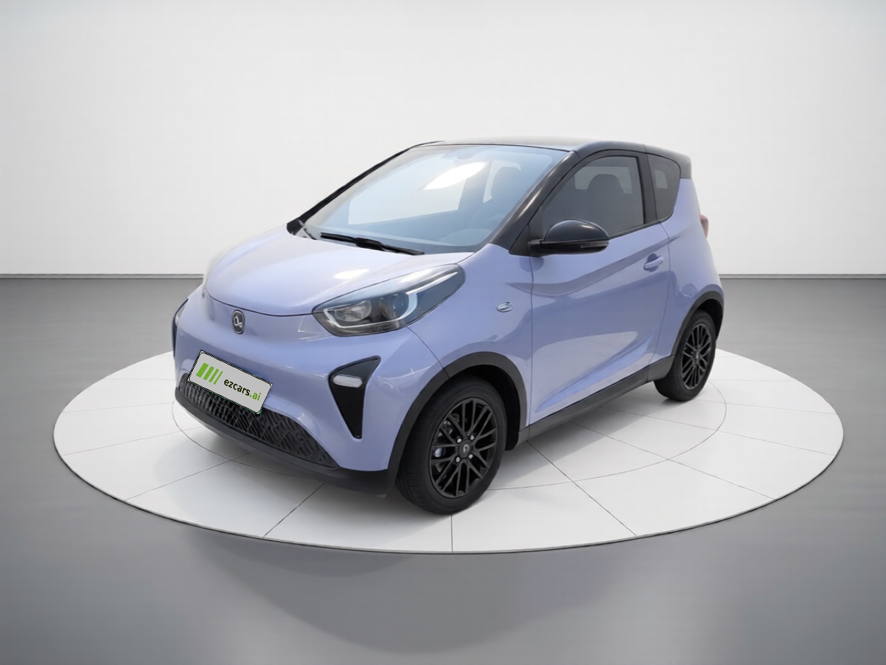 QQ Little Ant 2024 321km