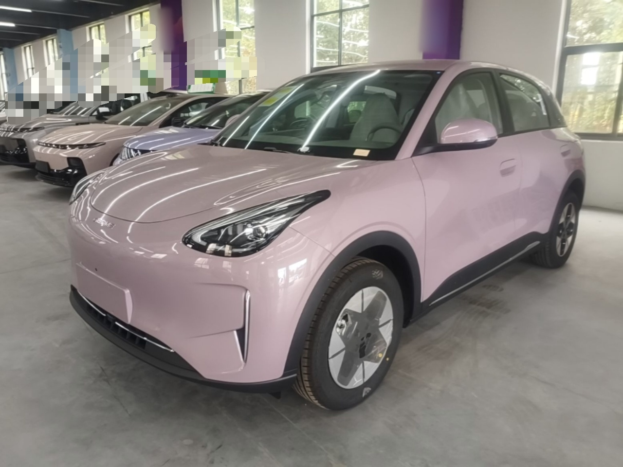 Xingyuan 2026 310km