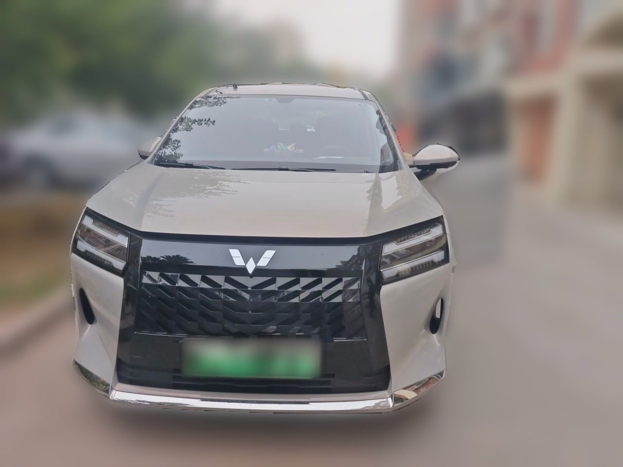 730 EV 2025 125km Luxury photo 3