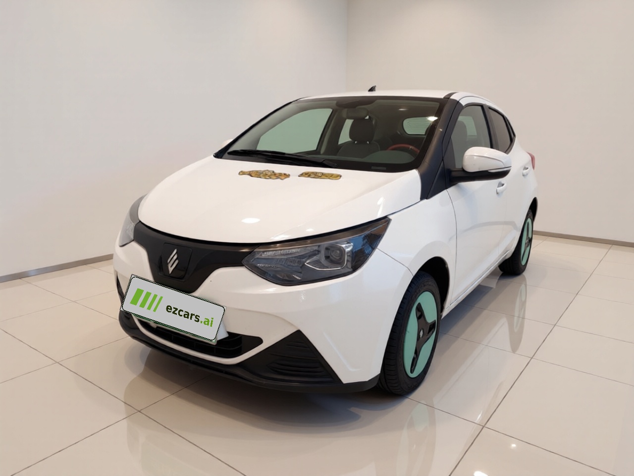 EV EV2 2024 201km Comfort