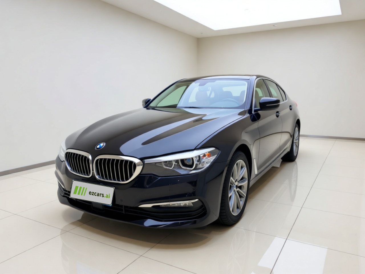5 Series 2018 528Li Special