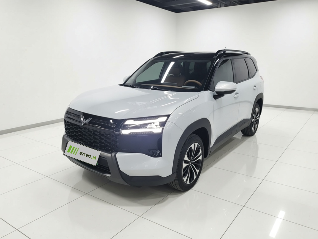 560 EV 2026 125km Luxury
