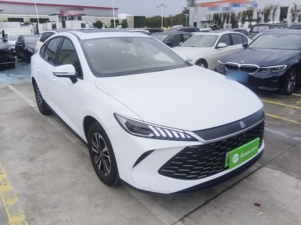 Qin PLUS 2026 DM-i 210KM Progressive photo 5
