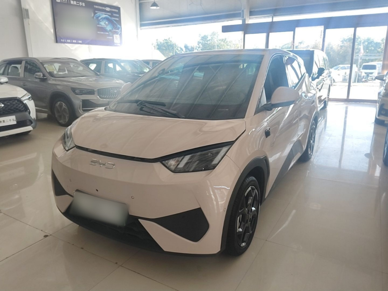 Seagull 2025 ADAS 305km