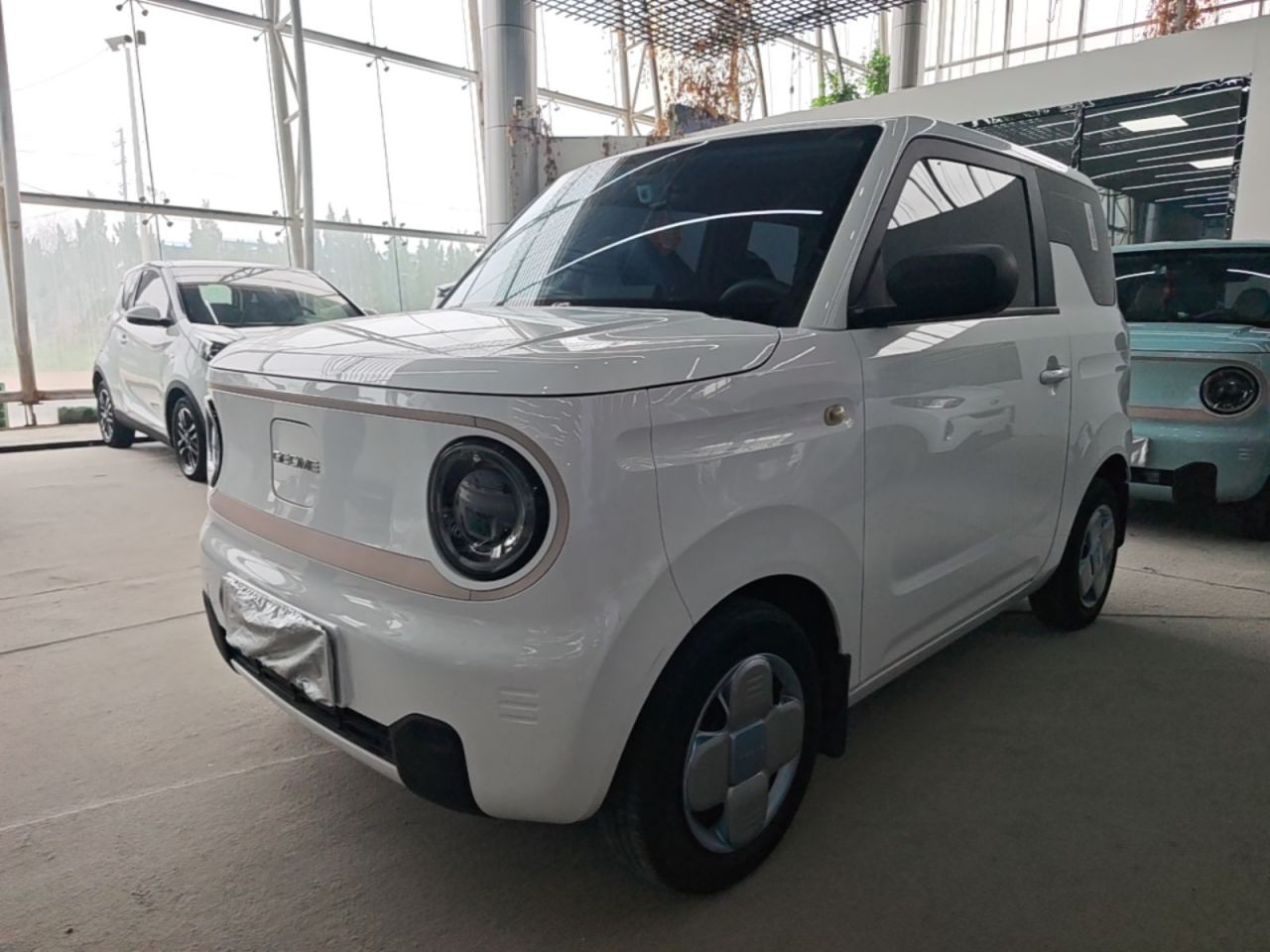 2023 Panda mini 200km Endurance Bear