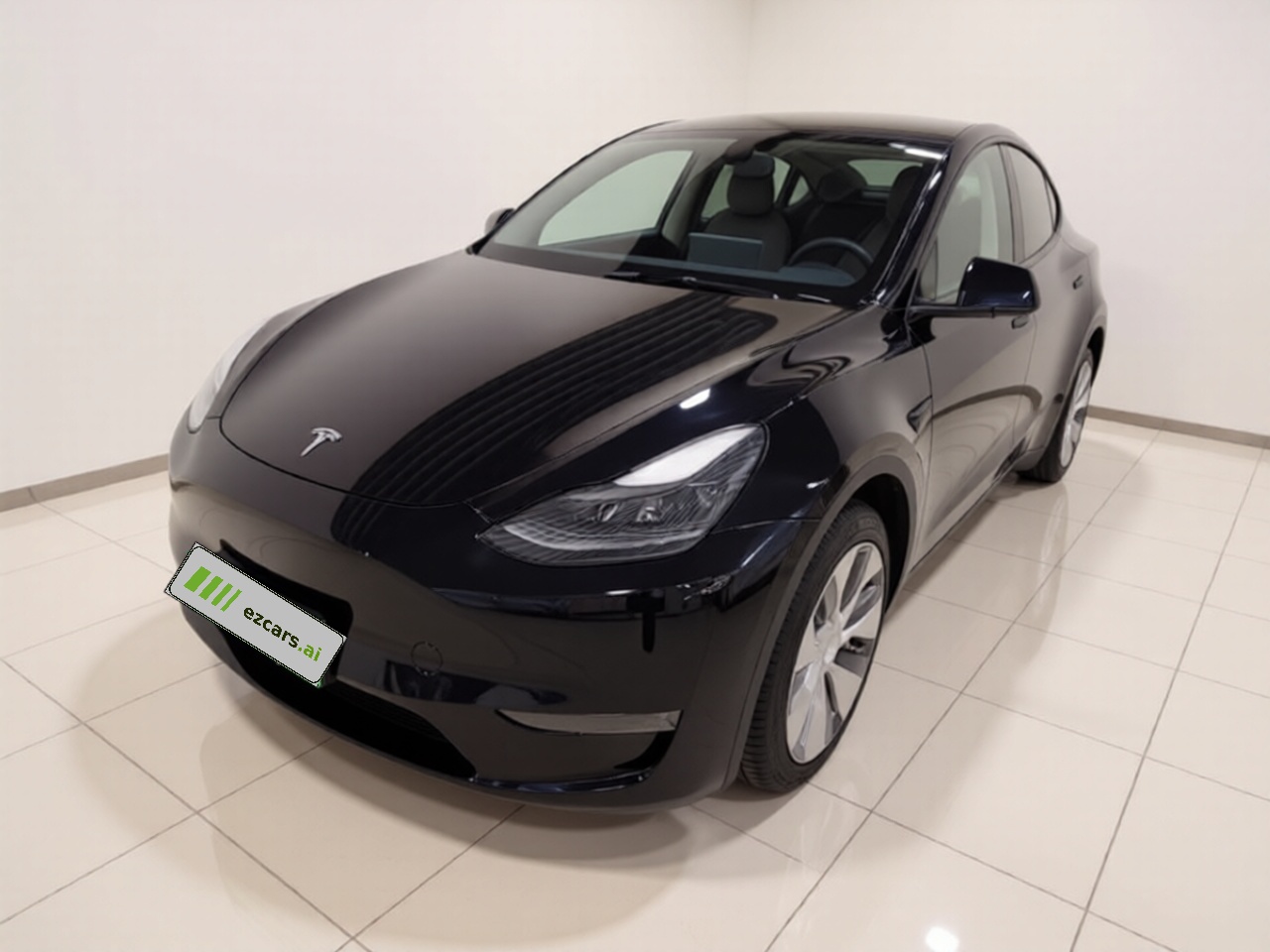 Model Y 2021 Standard Range RWD