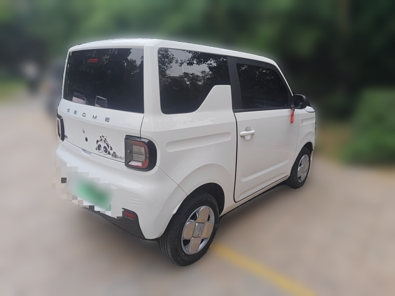 2024 Panda mini 200km Endurance Bear photo 4