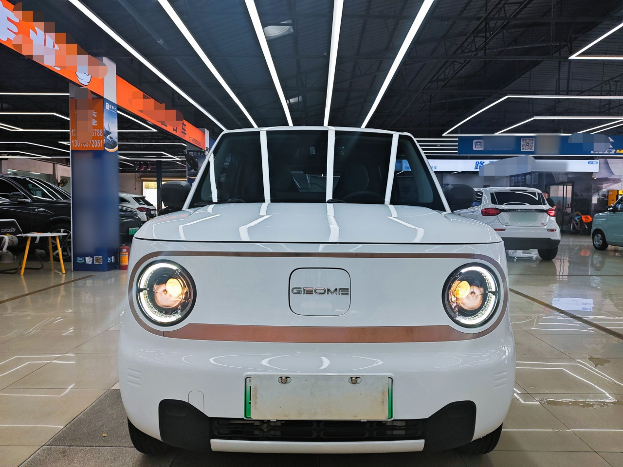 2023 Panda mini 200km Endurance Bear photo 2