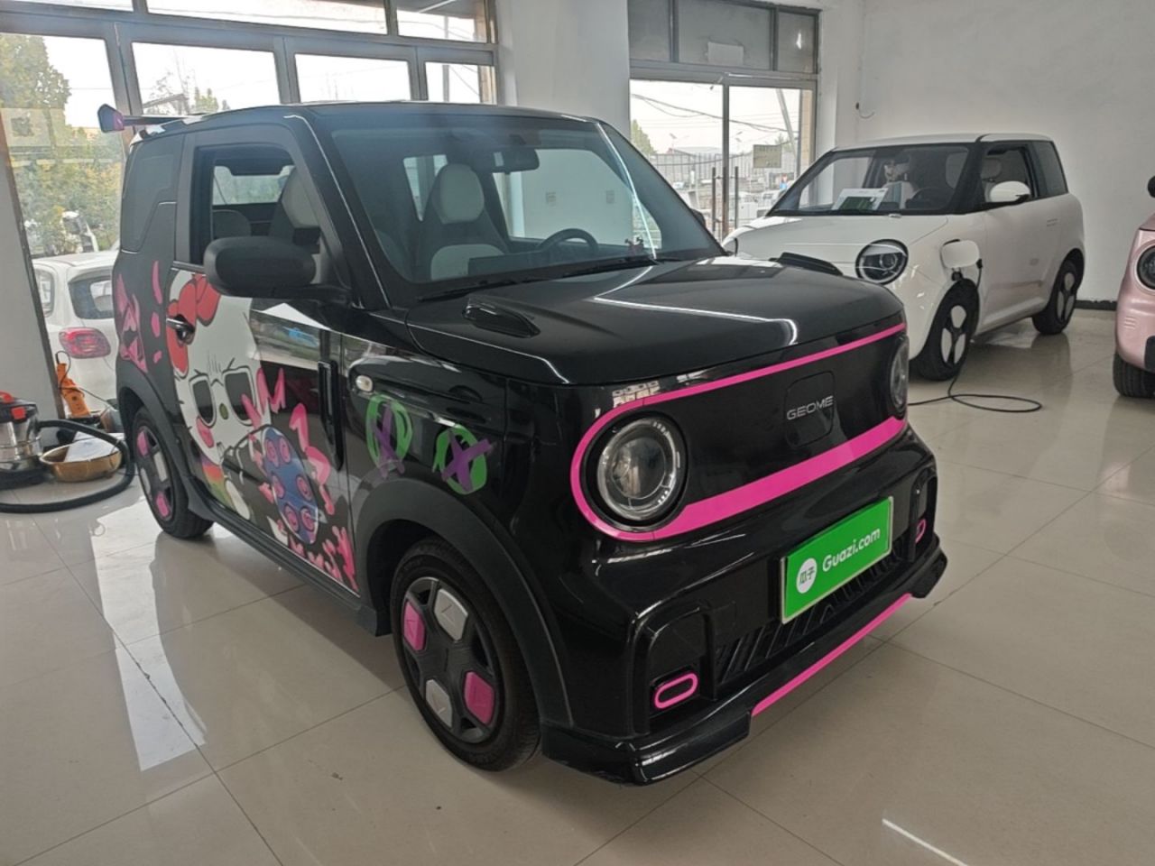 2025 210km Panda photo 3
