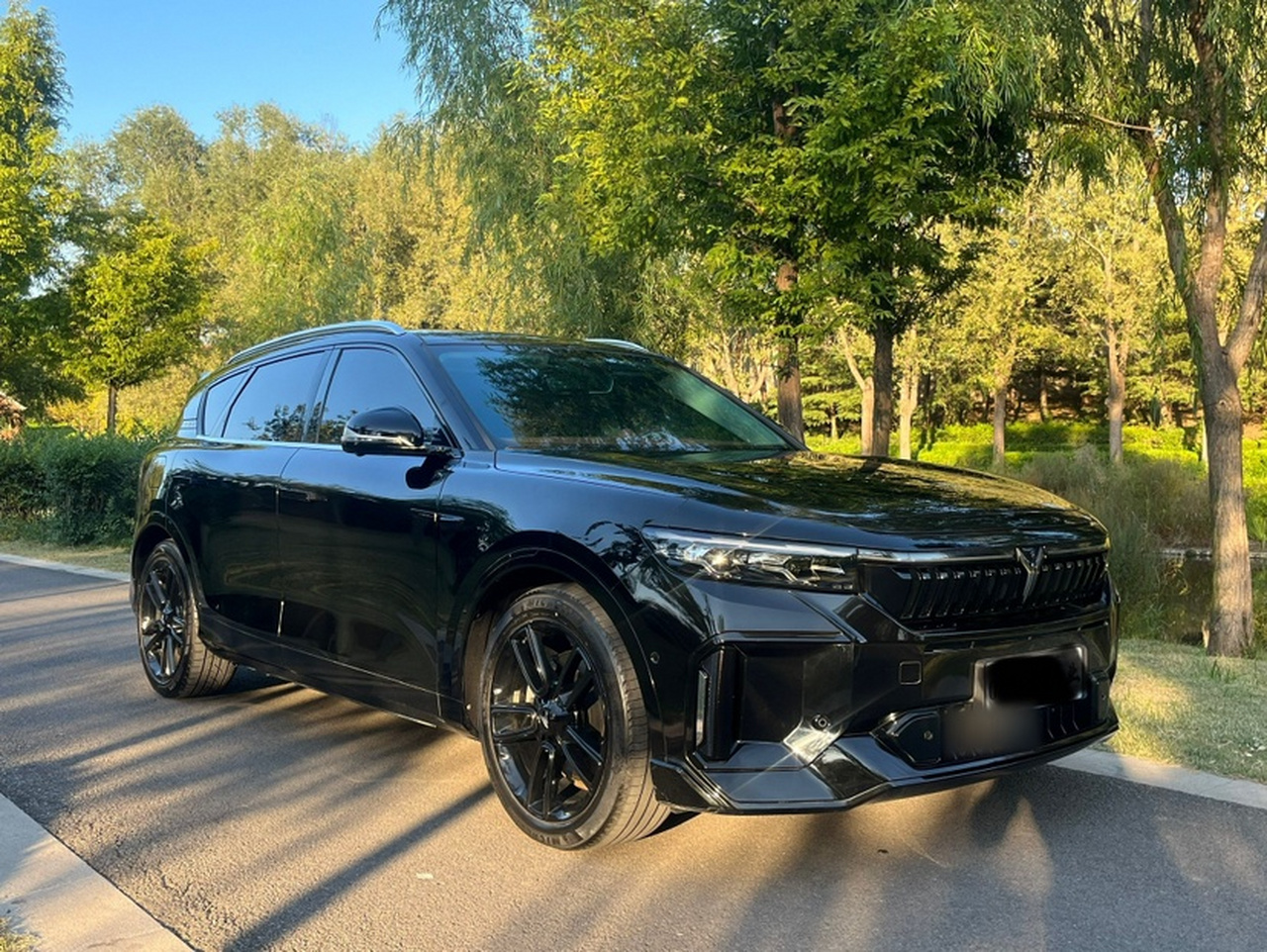 Voyah FREE 2024 Extended Range ADAS photo 3