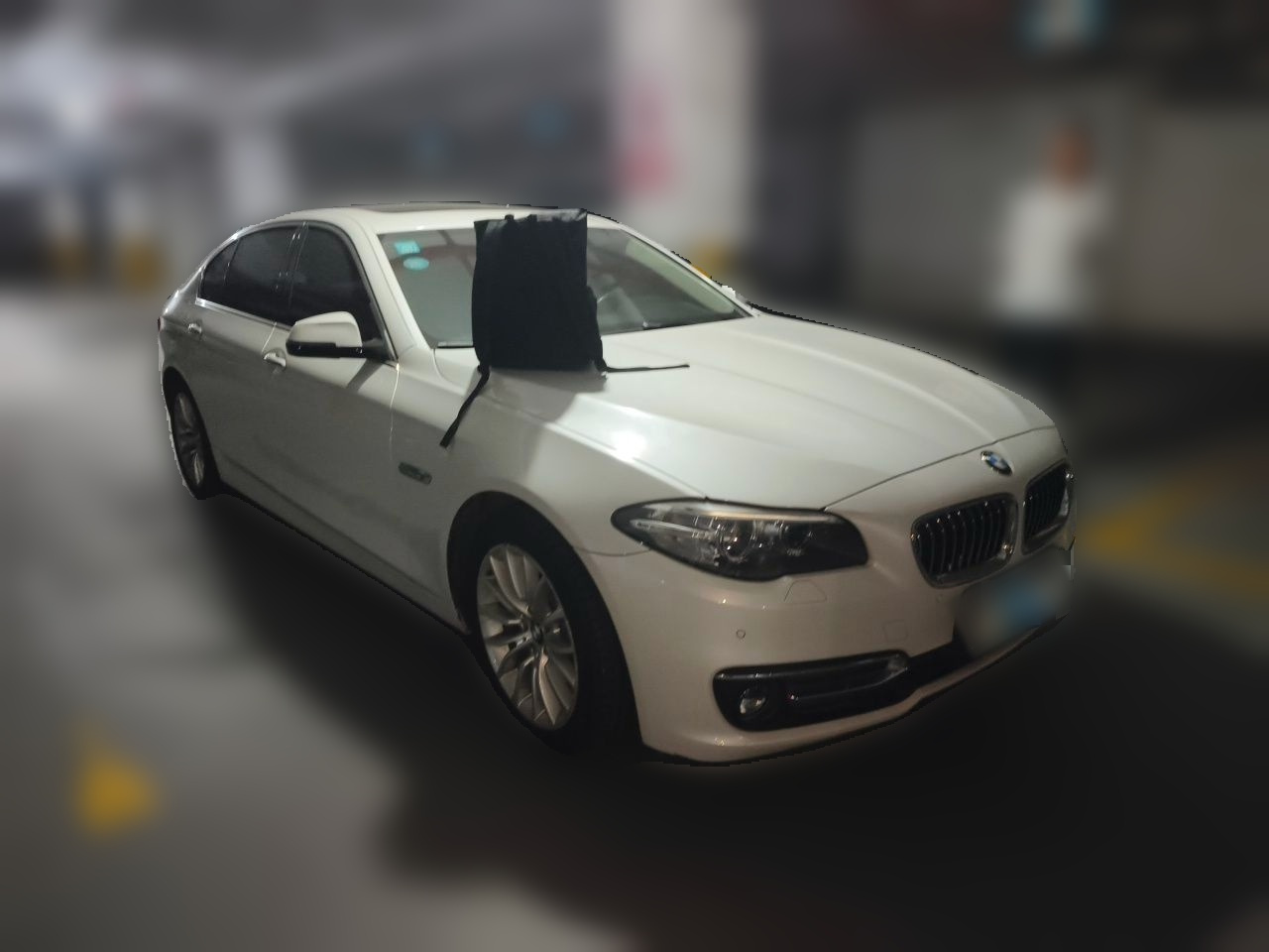 5 Series 2017 525Li Luxury Design Package photo 3