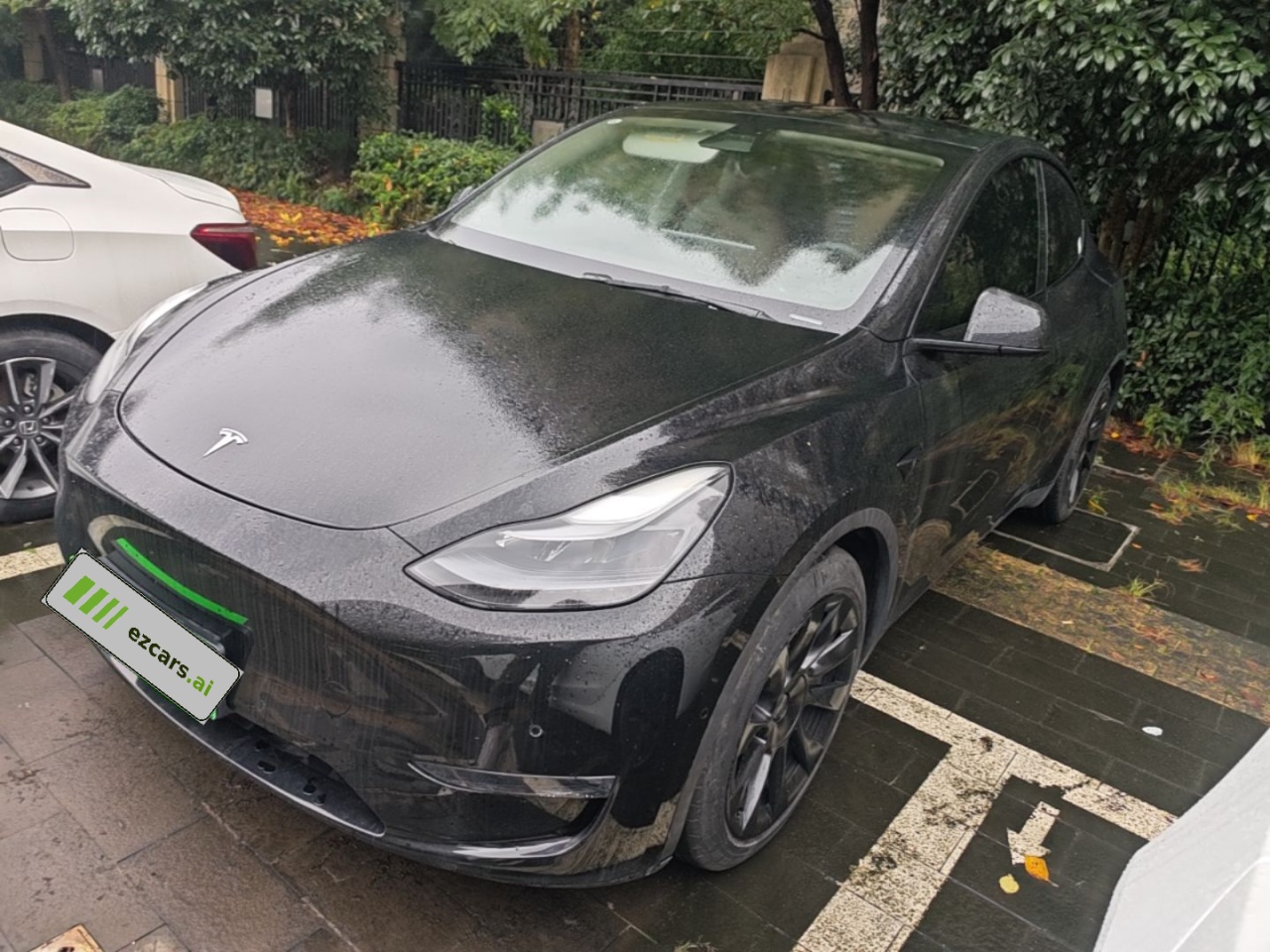 Model Y 2021 Standard Range RWD