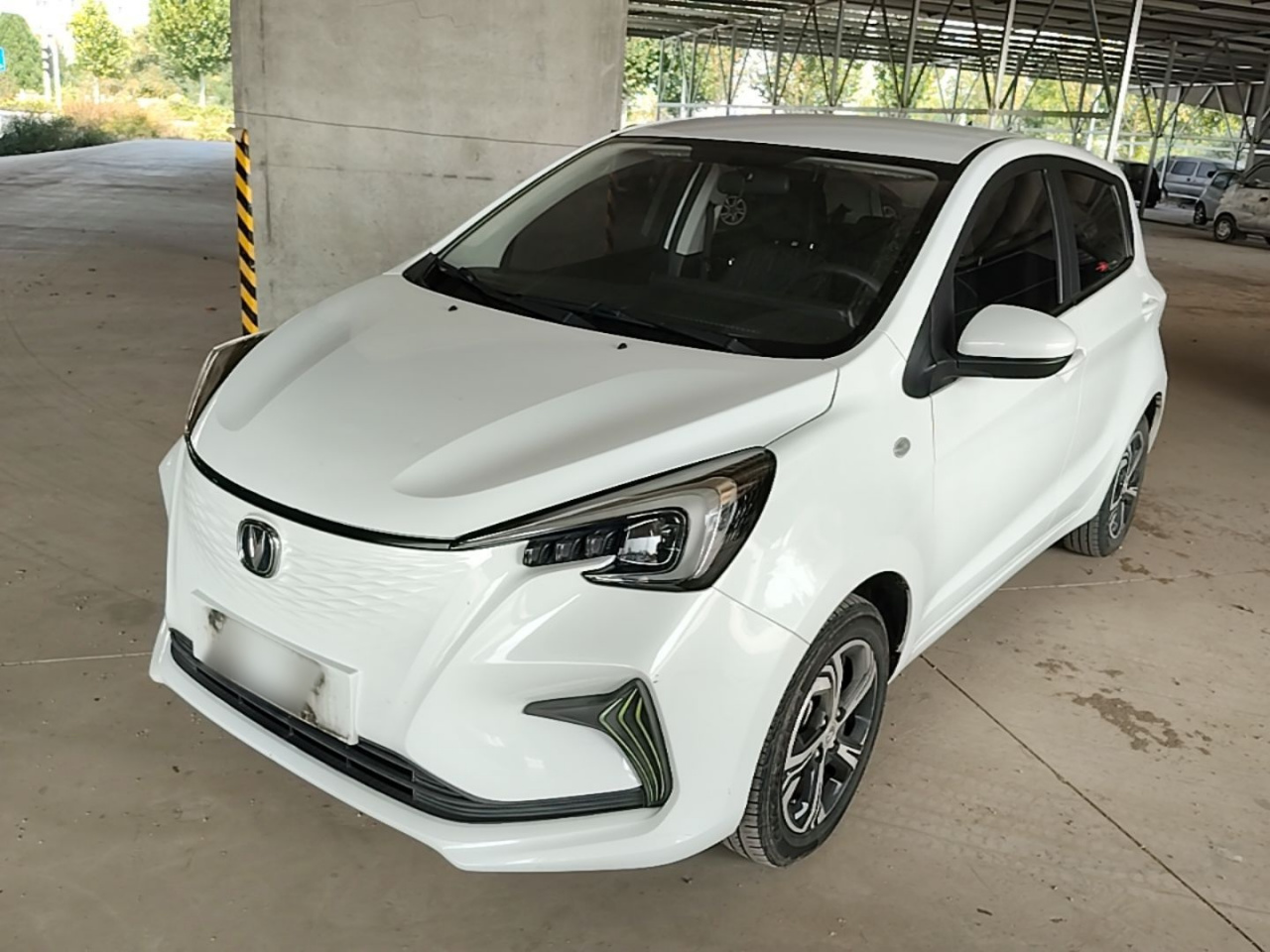 Benni E-Star 2020 Heartbeat NCM