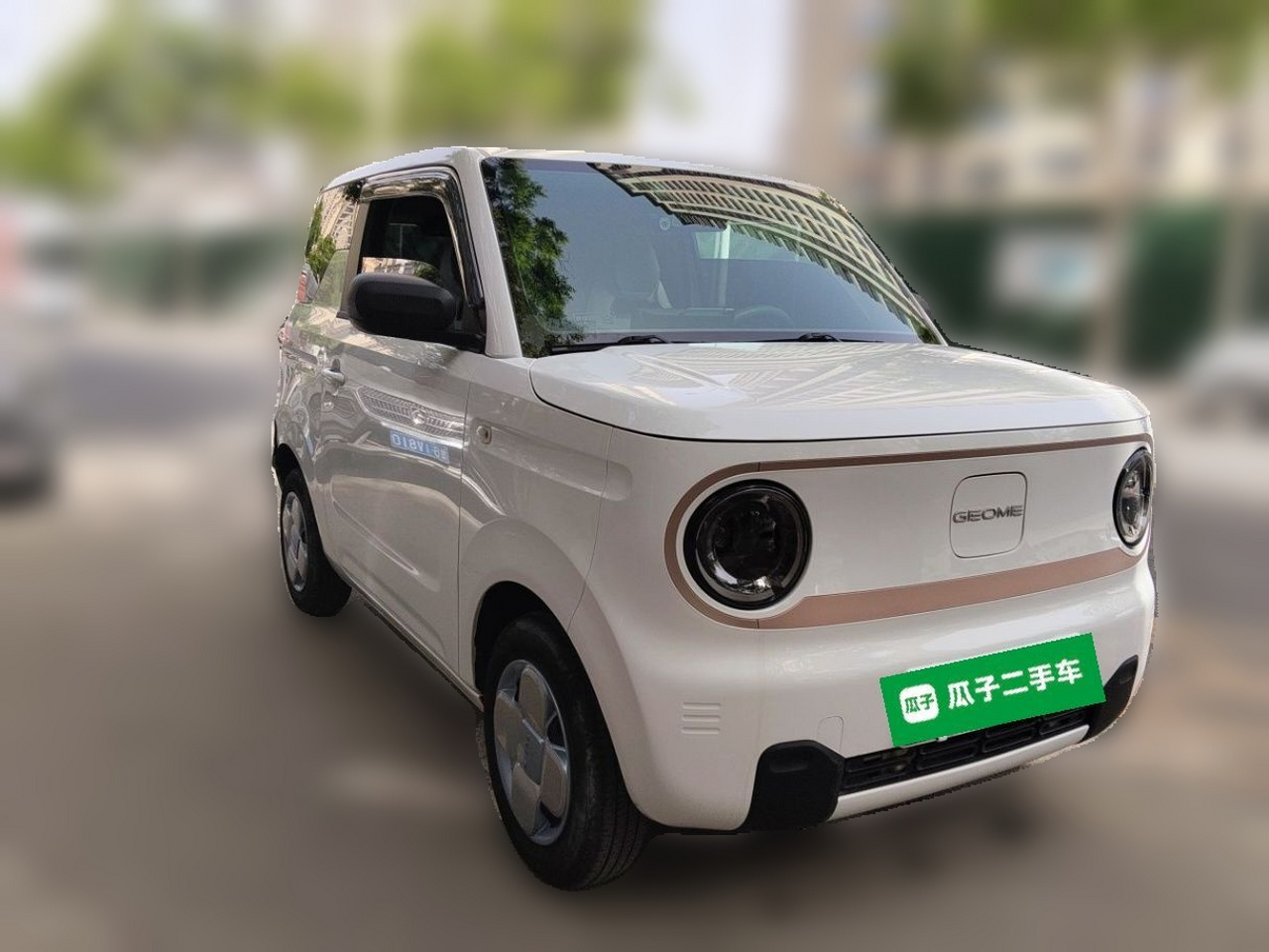 2023 Panda mini 200km Endurance Bear photo 2