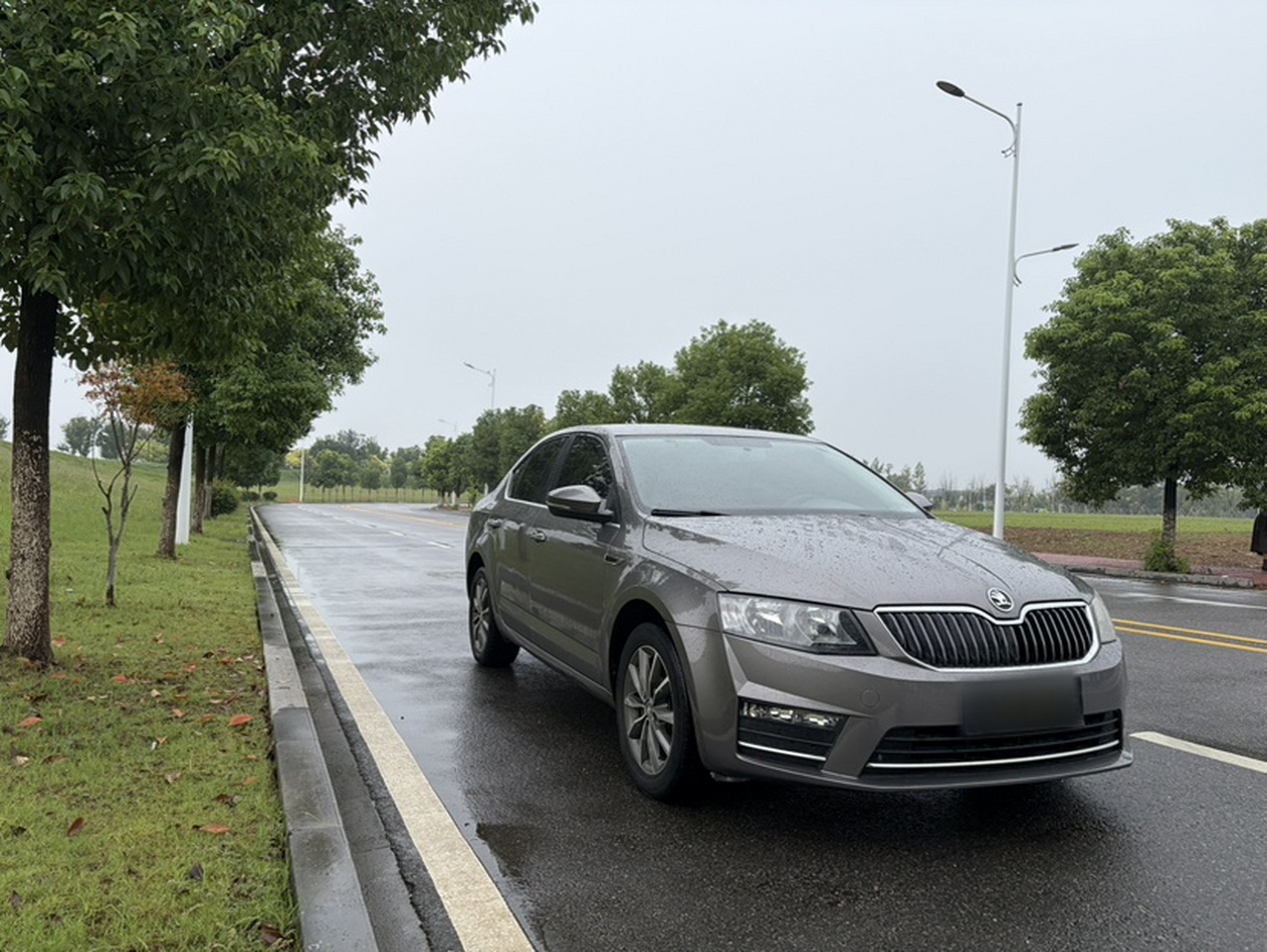 Octavia 2017 1.6L AT photo 3