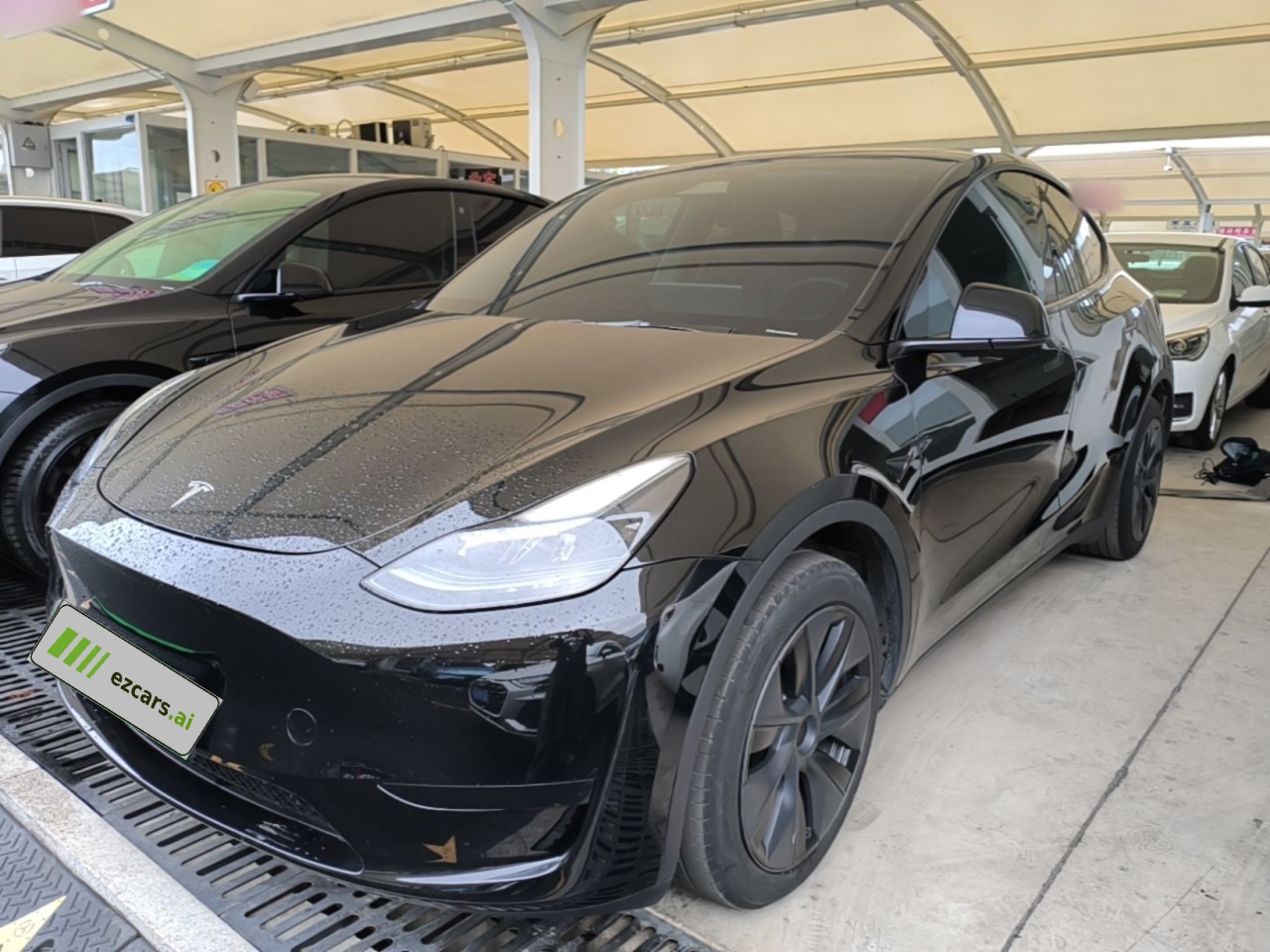 Model Y 2024 RWD
