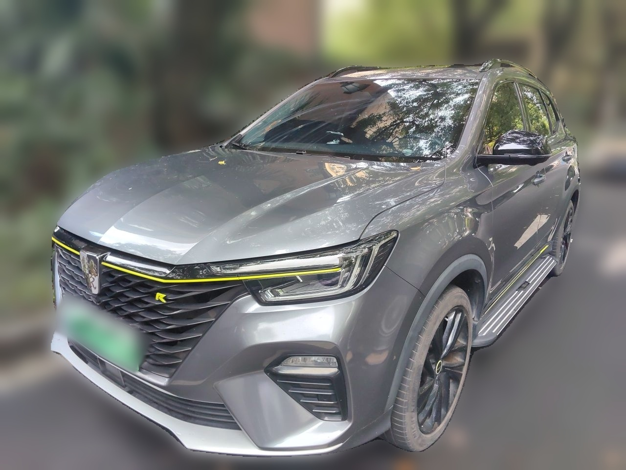 RX5 EV 2020 ePLUS Luxury