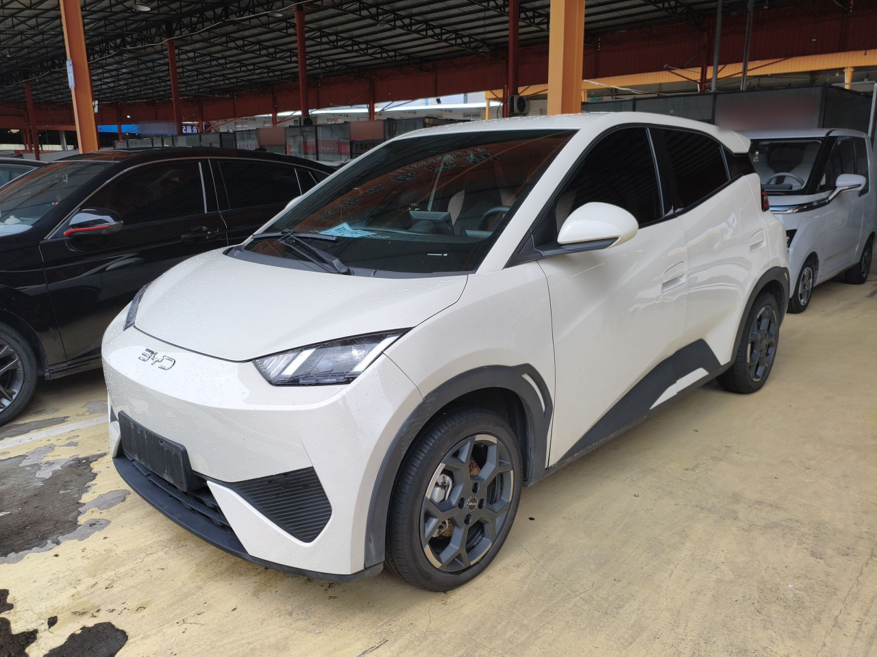 Seagull 2025 ADAS 405km