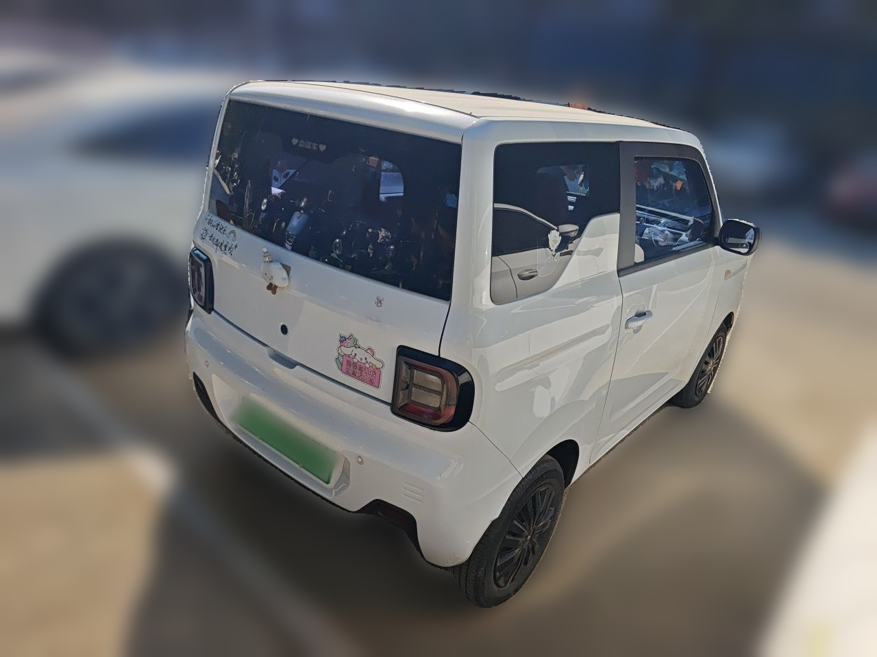 2023 Panda mini 200km Endurance Bear photo 4