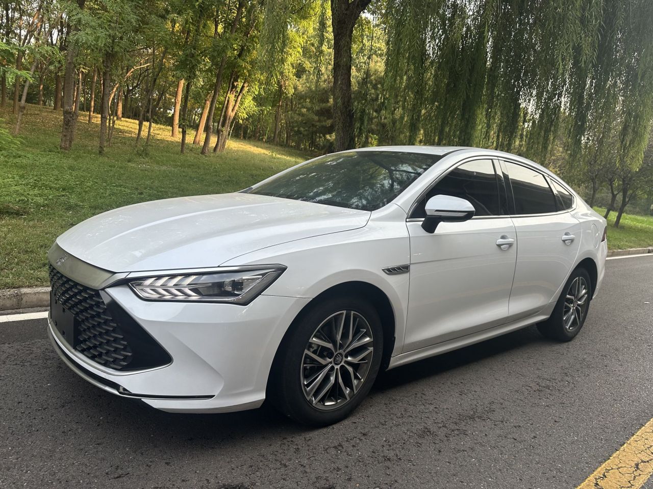 Qin PLUS 2021 DM-i 55KM Flagship