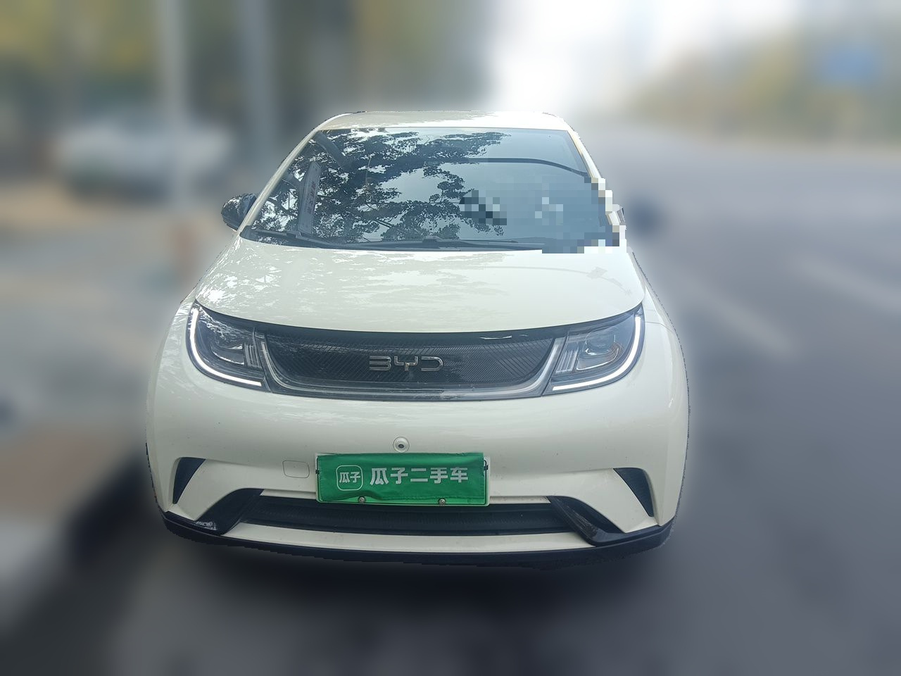 Dolphin 2024 Honor 420km photo 2