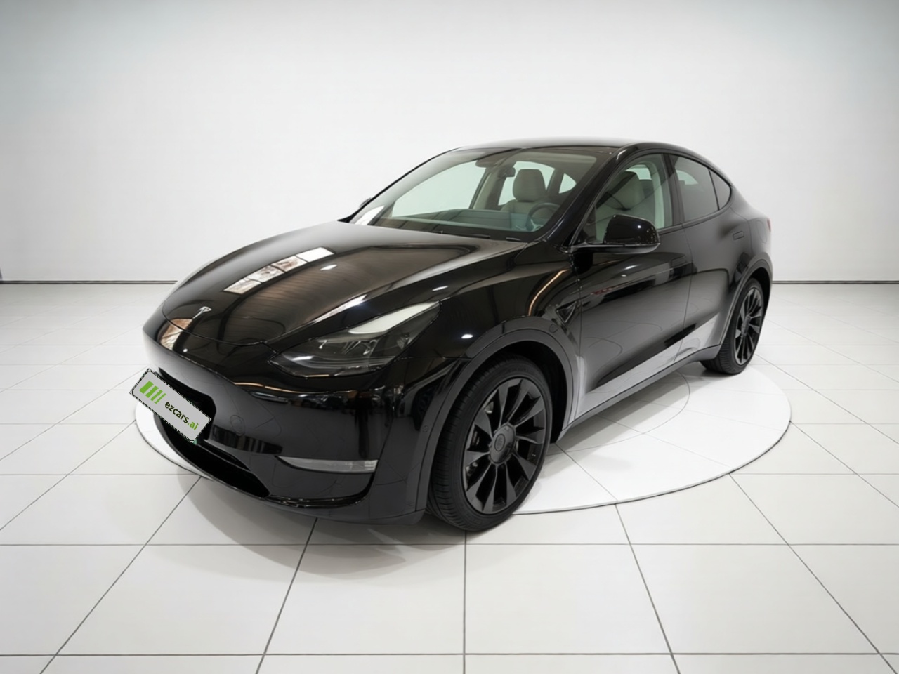 Model Y 2021 Standard Range RWD